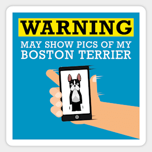 Boston Terrier, May Show Pics of My Magnet